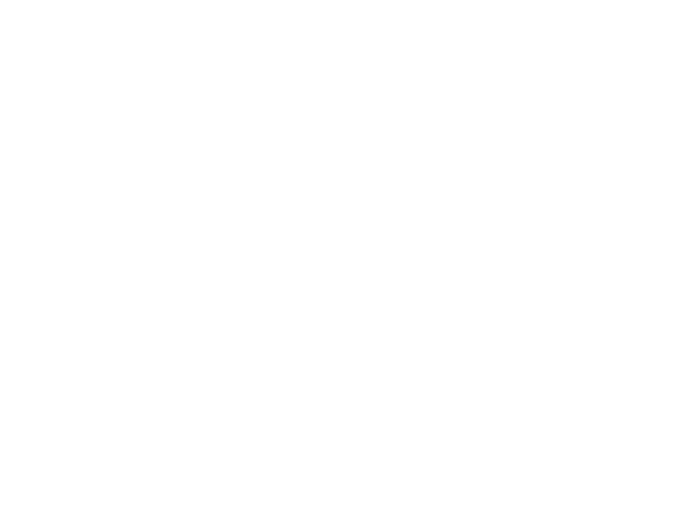 Hammerton Car Transport Logo Reversed